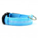 Lichtgevende LED-Halsband voor Hond