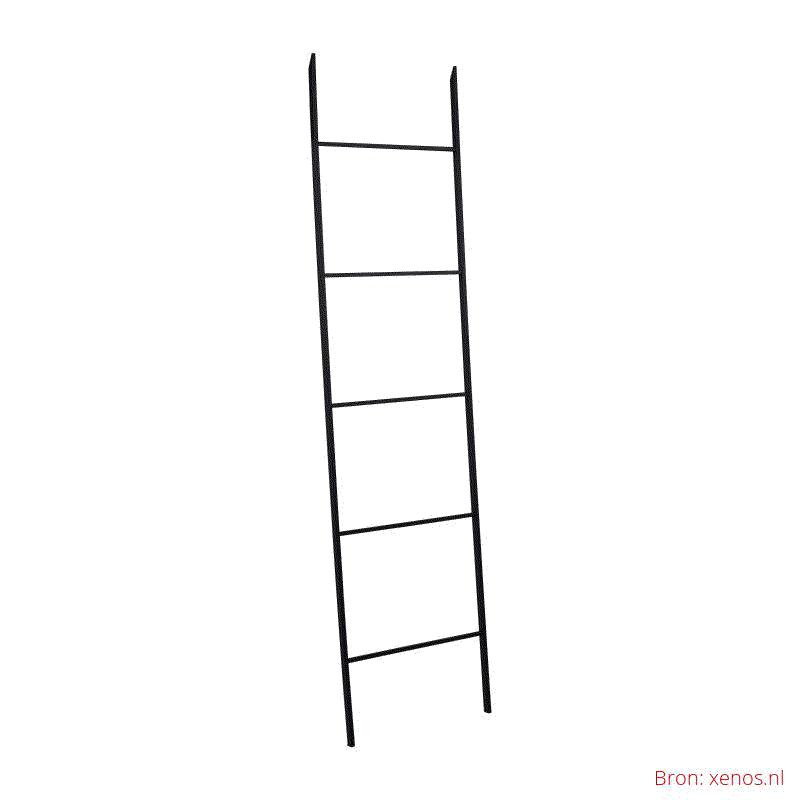Impressie van ladder variant 2